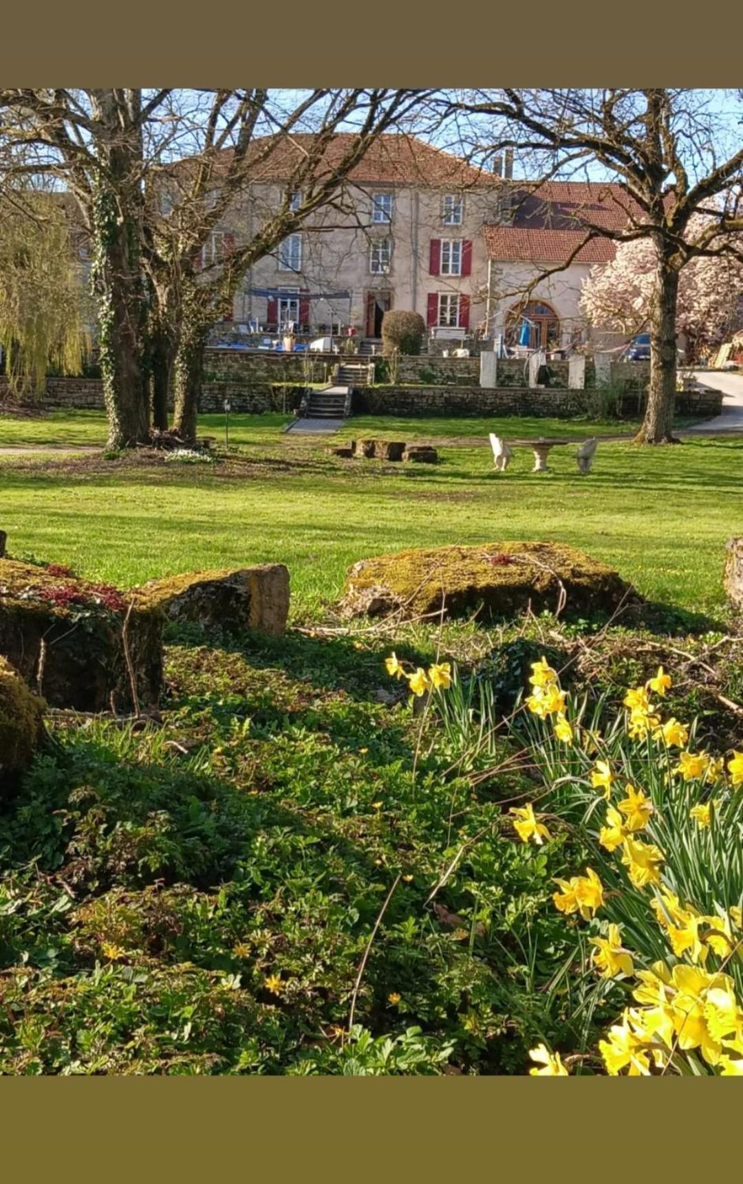 Le Domaine D'Elise Chambres Et Table D'Hotes - Vosges Saint-Ouen-les-Parey Ngoại thất bức ảnh